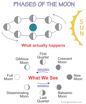 Lunar phases